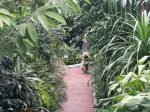 Ботанічний сад