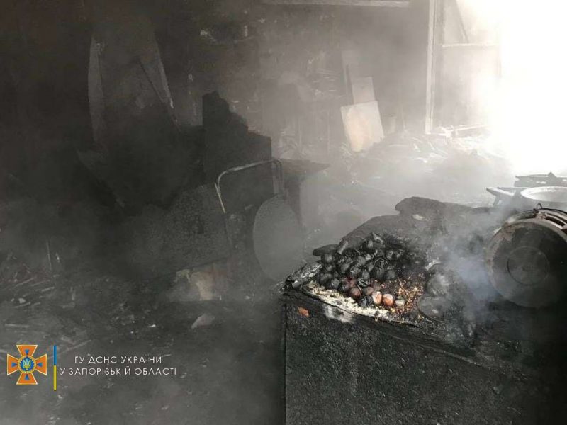 В Запорожье сгорели автомобиль и гараж