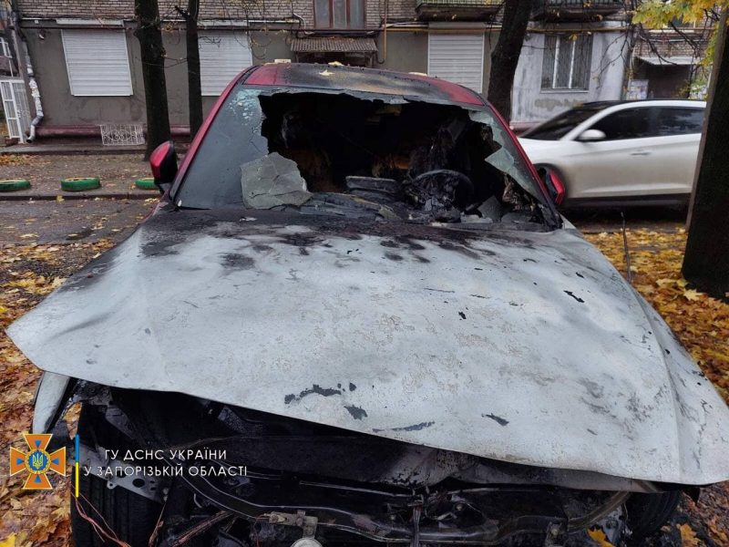 В Запорожье сгорели автомобиль и гараж