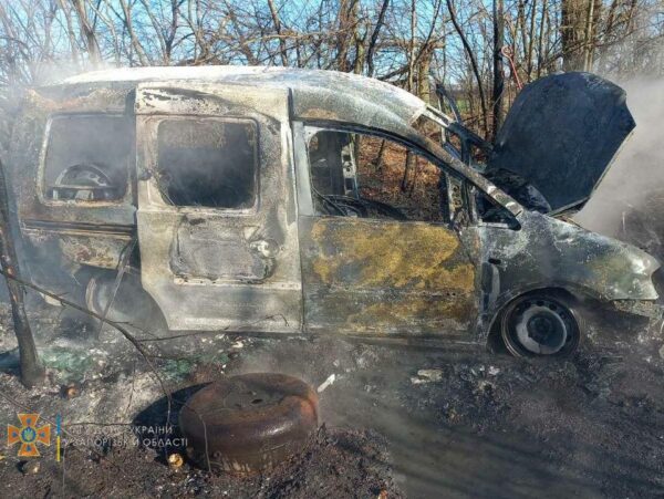 В Запорожской области авто слетело в кювет и загорелось: есть пострадавшие (ФОТО)