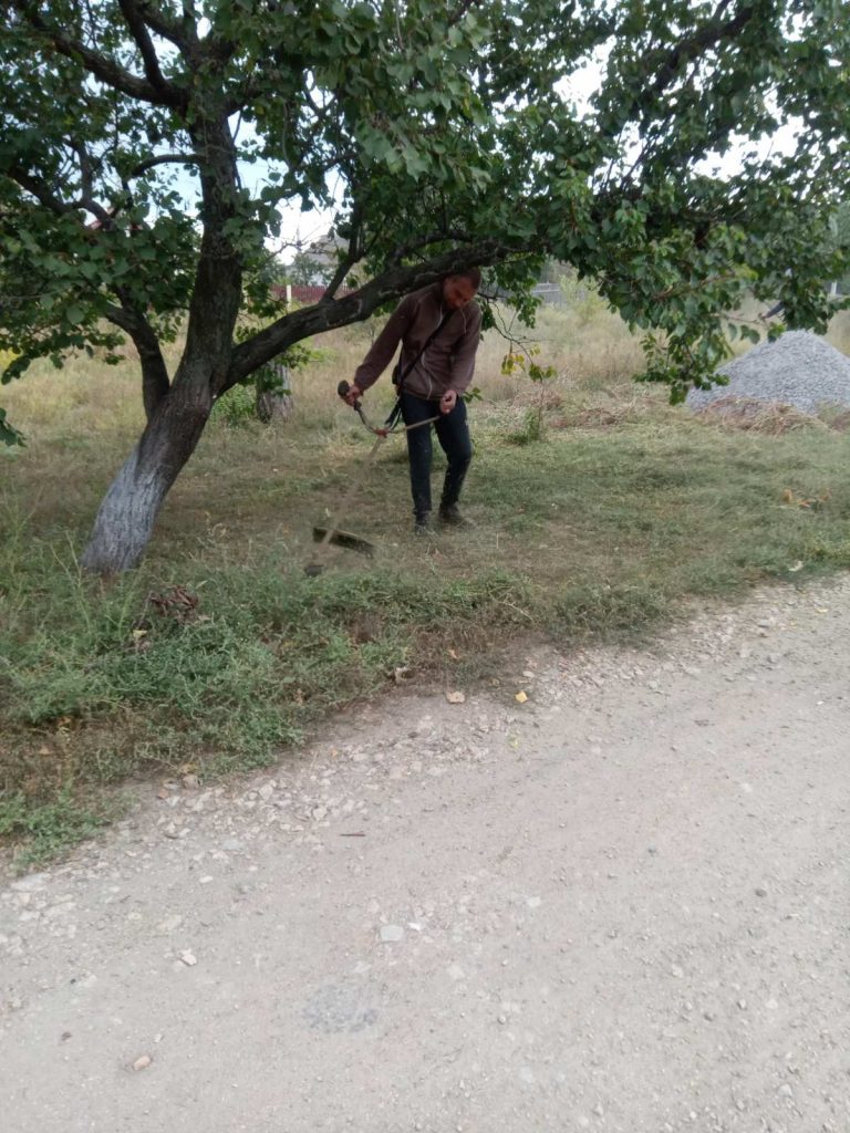 Жители запорожского села обустроили парк и высадили деревья