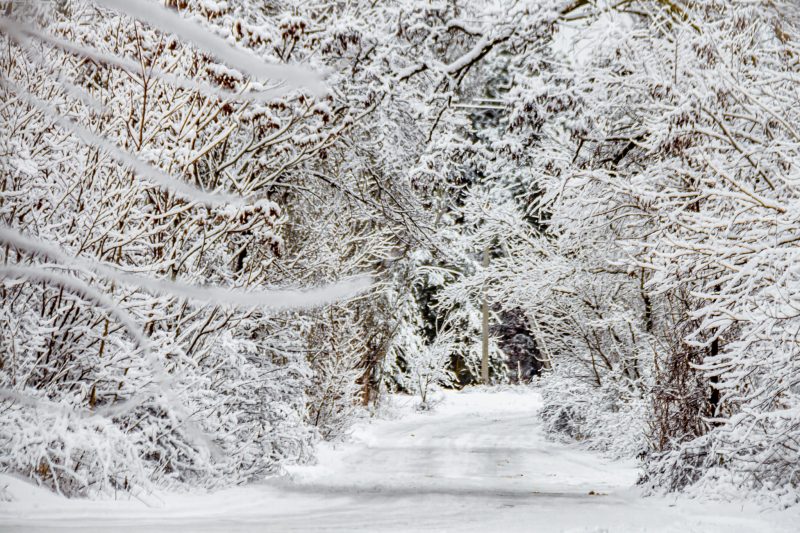 Фотограф из Запорожья показала красоту зимней Хортицы - фото 