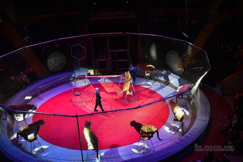 Запорожский государственный цирк приглашает на «Новорічні дива»