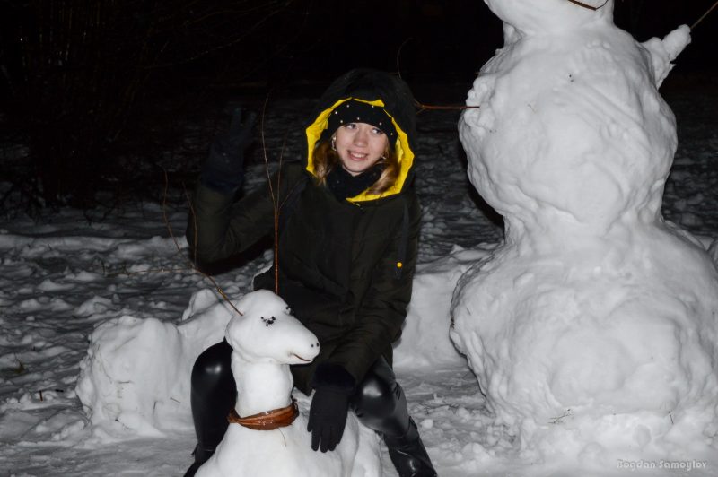 Жители Запорожья создали целую поляну снеговиков - фото