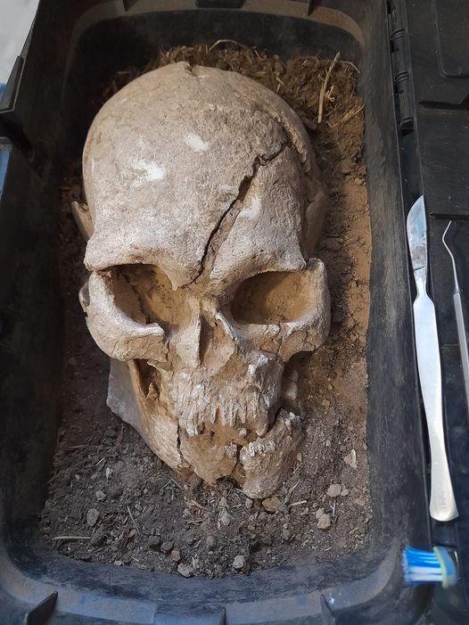 Киевские археологи проведут анализ ДНК черепа, найденного на Мамай-горе в Запорожской области