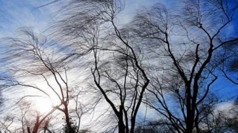 Порывы шквального ветра: в Запорожской области объявлено штормовое предупреждение
