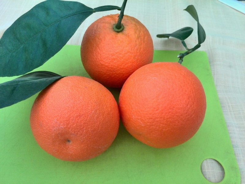 Запорожанка Татьяна Кузьмук показала в сети урожай апельсинов