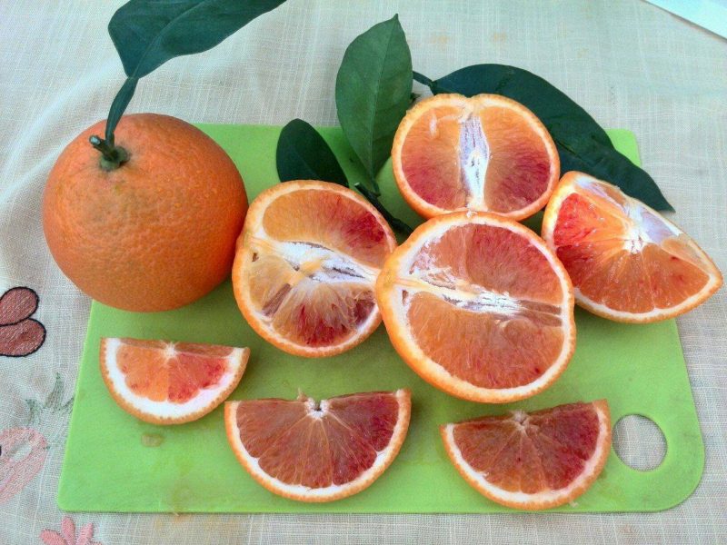 Запорожанка Татьяна Кузьмук показала в сети урожай апельсинов