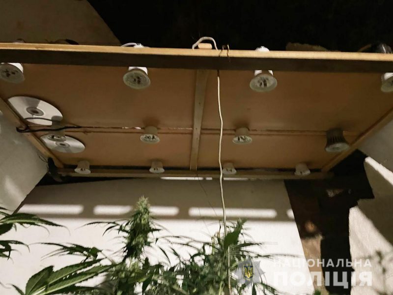 Мешканець Запоріжжя облаштував наркотичну плантацію в гаражі