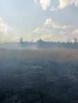 Пожежа в районі Балабине і Кушугуму