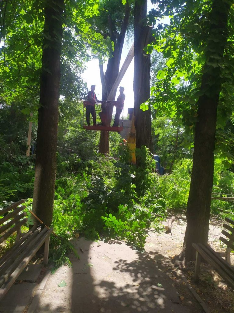 У Запоріжжі за допомогою спецтехніки видалили аварійні дерева - фото