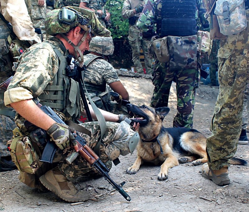Бійці запорізького "Азову" у прифронтовому селищі врятували налякану собаку
