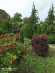 ботанічний сад