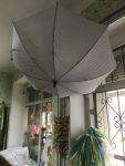 фест парасолька
