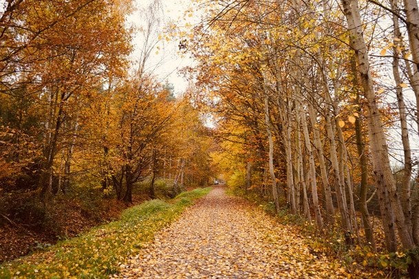 https://sky.zp.ua/wp-content/uploads/2026/10/2d909b141033775a6bd716a9126504bb.jpg