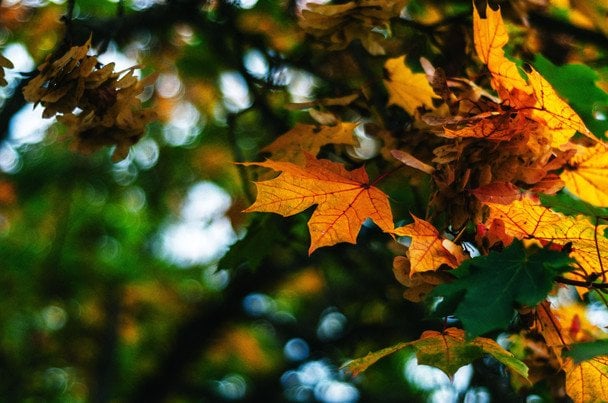 https://sky.zp.ua/wp-content/uploads/2026/10/8e0d47a29c2c754d0cb57fd4326c6d85.jpg