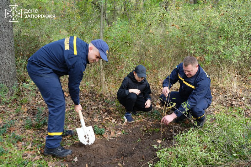 У парку Шевченка висадили 50 фруктових дерев — ДСНС — фото 4