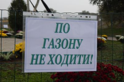 10-tysyach-czvetov-v-zaporozhskom-parke-sozdali-prazdnichnye-czvetochnye-installyaczii-fotoreportazh.jpg