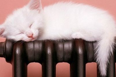d0b2-d0b7d0b0d0bfd0bed180d0bed0b6d18cd0b5-d0bdd0b0d187d0bdd183d182-d0bed182d0bed0bfd0b8d182d0b5d0bbd18cd0bdd18bd0b9-d181d0b5d0b7d0be.jpg