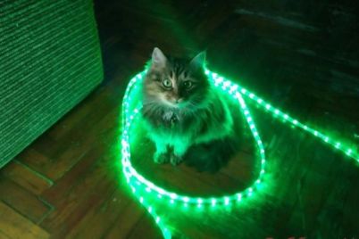 d0b2-d0b7d0b0d0bfd0bed180d0bed0b6d18cd0b5-d185d0bed0b7d18fd0b5d0b2d0b0-d180d0b0d0b7d18bd181d0bad0b8d0b2d0b0d18ed182-d0bfd180d0bed0bf.jpg