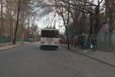 na-trolejbus-u-spalnomu-rajoni-zaporizhzhya-zavalilisya-3-dereva.jpg