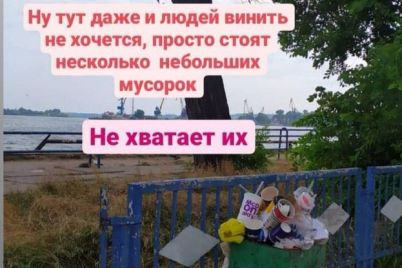net-musornyh-kontejnerov-zhiteli-zaporozhya-zhaluyutsya-na-svalku-iz-othodov-v-rechnom-portu-foto.jpg