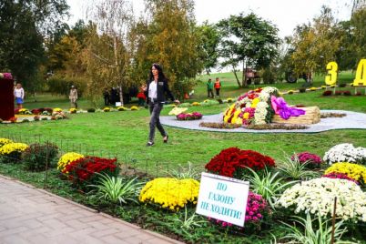 po-gazonam-ne-hodit-voznesenovskij-park-ukrasili-czvetochnymi-kompozicziyami-foto.jpg