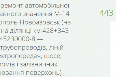 sad-u-zaporizkij-oblasti-zamovlyad194-kapitalnij-remont-dorogi-majzhe-za-444-miljoni.png