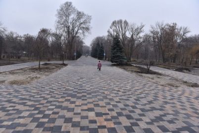 u-czentralnomu-parku-zaporizhzhya-onovili-vhidnu-grupu-yak-vona-viglyadad194.jpg