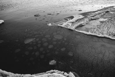 udivitelnoe-zrelishhe-v-azovskom-more-meduzy-vmyorzli-v-lyod-foto.jpg