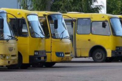 v-berdyanskom-transporte-lgoty-na-proezd-ne-dejstvuyut-dlya-turistov.jpg