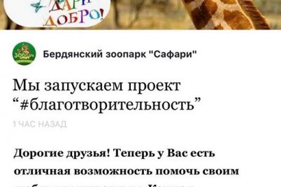 v-berdyanskom-zooparke-rodilsya-lemur-video.jpg