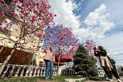 v-czentri-zaporizhzhya-lyudi-vlashtovuyut-fotosesid197-bilya-kvituchih-magnolij-fotoreportazh-1.jpg