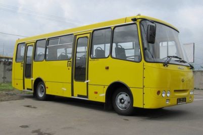 v-pologah-zapustili-speczialnye-avtobusnye-rejsy-kogo-podvozyat-i-kakaya-stoimost-proezda.jpg