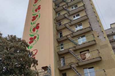 v-zaporizhzhi-na-studentskomu-gurtozhitku-namalyuvali-mural.jpg