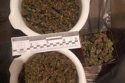 v-zaporizkij-oblasti-viluchili-tri-kilogrami-marihuani.jpg