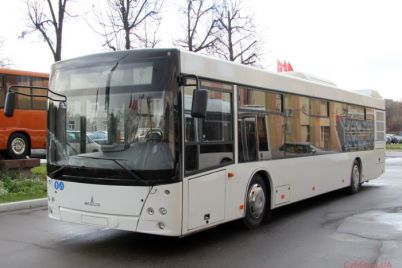 v-zaporozhe-na-hodu-zagorelsya-avtobus-s-polnym-salonom-passazhirov-video.jpg