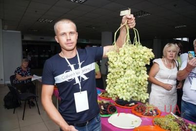 v-zaporozhe-na-vystavke-pokazali-vinogradnuyu-grozd-kotoraya-vesit-pyat-s-polovinoj-kilogramm-foto.jpg