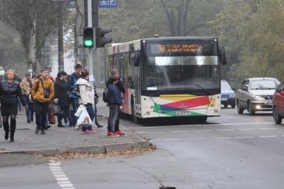 v-zaporozhe-ofitsialno-podorozhal-proezd-v-obshhestvennom-transporte.jpg