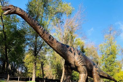 v-zaporozhe-poyavitsya-park-s-dinozavrami-foto.jpg