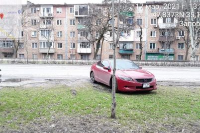 v-zaporozhe-voditeli-inomarok-priparkovalis-pryamo-na-gazone-foto.jpg