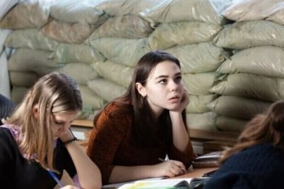 v-zaporozhskoj-oblasti-25-shkol-rabotayut-po-smeshannoj-sisteme.jpg