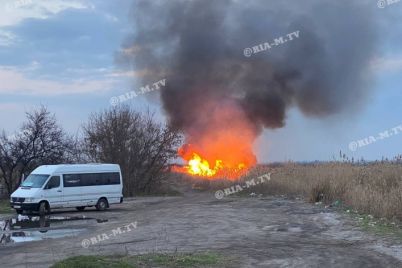 v-zaporozhskoj-oblasti-busheval-masshtabnyj-pozhar-okrestnye-doma-okutany-dymom-foto.jpg