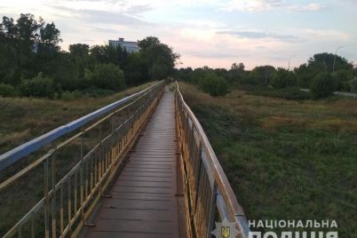 v-zaporozhskoj-oblasti-hozyain-sbrosil-s-mosta-sobaku-poyavilis-podrobnosti-foto.jpg
