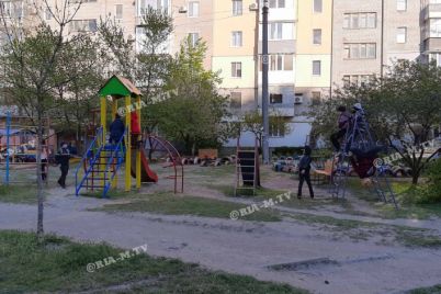 v-zaporozhskoj-oblasti-vopreki-karantinu-polnye-detskie-ploshhadki-detej-foto.jpg