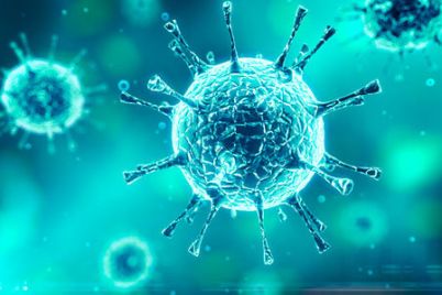 v-zaporozhskoj-oblasti-zafiksirovali-tri-podozreniya-na-koronavirus-test-na-gripp-otriczatelnyj.jpg