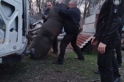 v-zaporozhskom-parke-dubovaya-roshha-demontirovali-statui-ubijczy.jpg