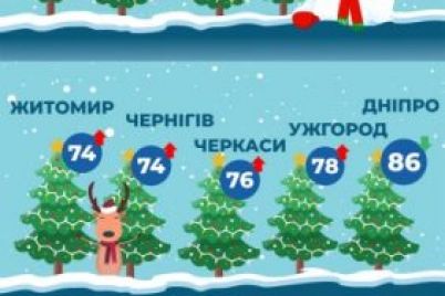 zaporozhskie-yolki-odni-iz-samyh-dorogih-v-ukraine-infografika.jpg