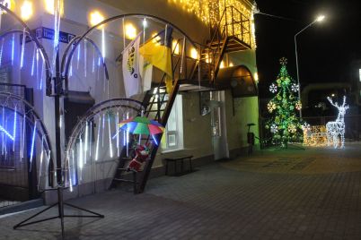 zhitelej-zaporozhskoj-oblasti-pooshhrili-za-novogodnee-ukrashenie-ofisov-i-domov.jpg